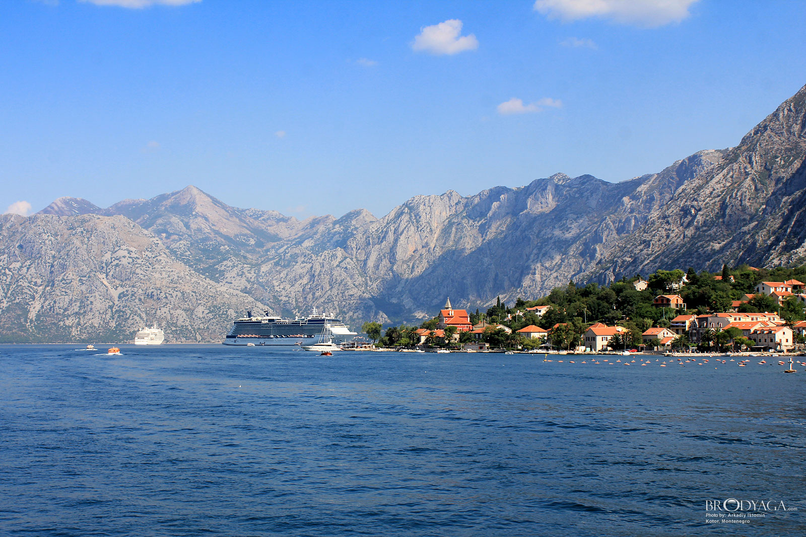 Kotor